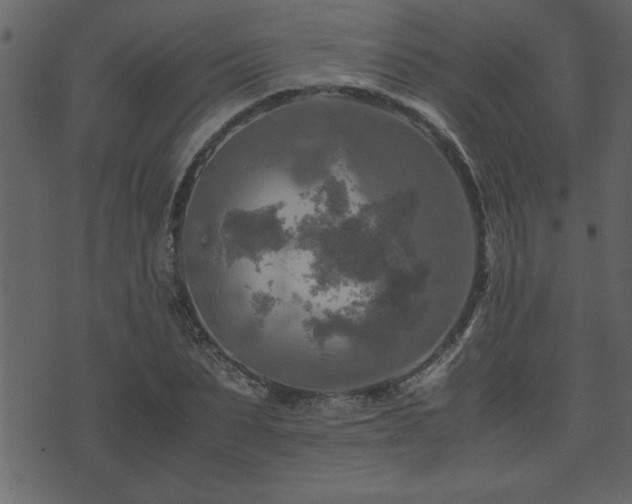 X0000071760879200606301128