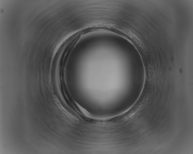 X0000071760880200606301128