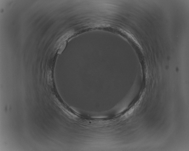 X0000071760881200606301128