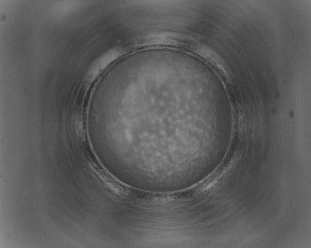 X0000071760882200606301128