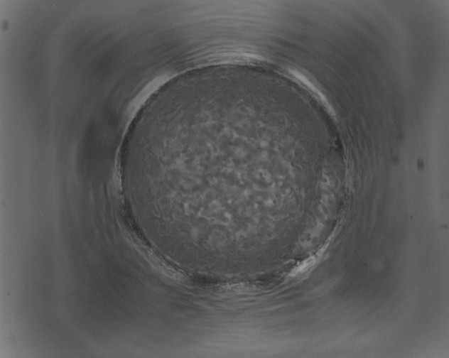 X0000071760883200606301128