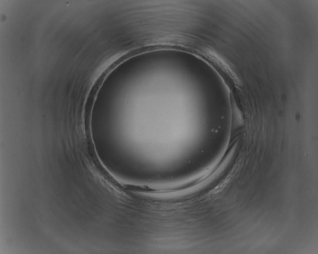 X0000071760884200606301127