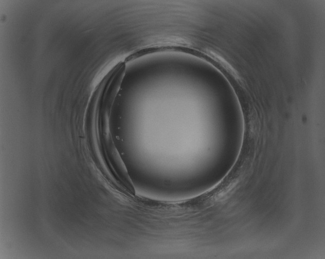 X0000071760885200606301127