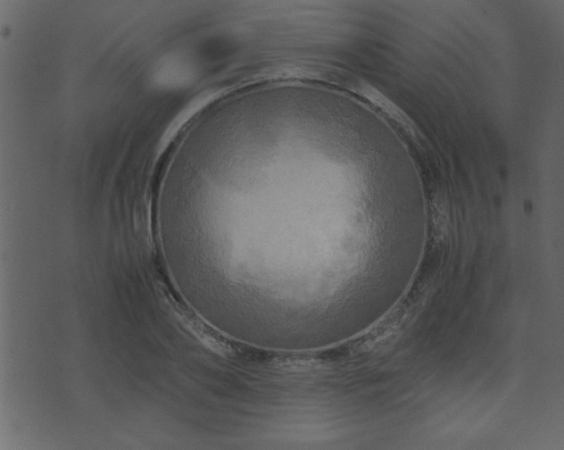 X0000071760886200606301127