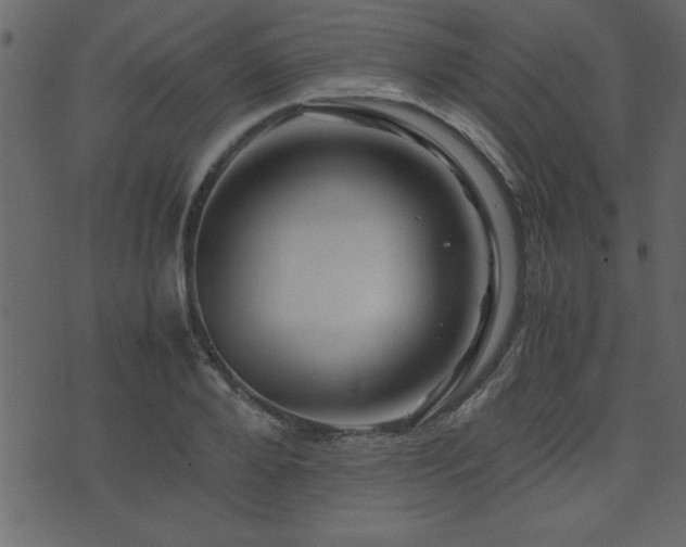 X0000071760888200606301127