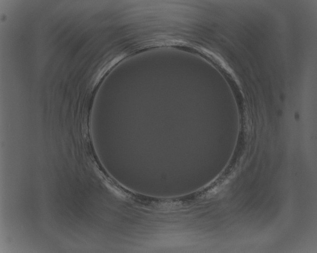 X0000071760889200606301127