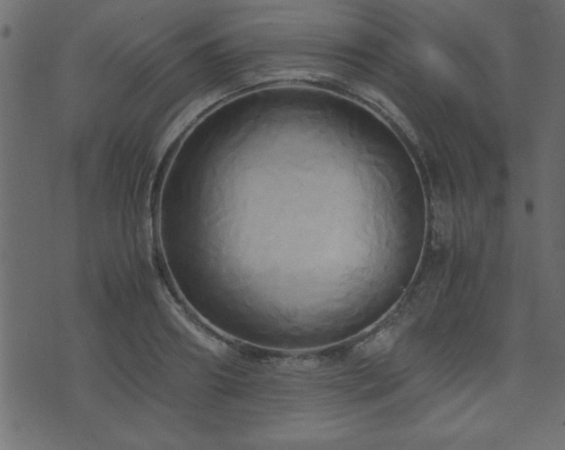 X0000071760890200606301127