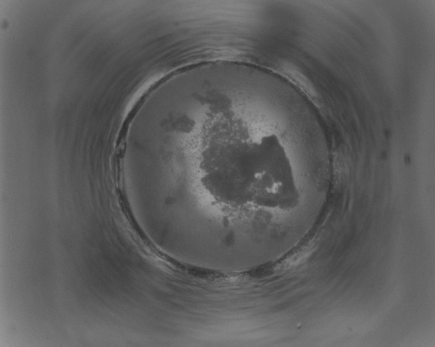 X0000071760891200606301127