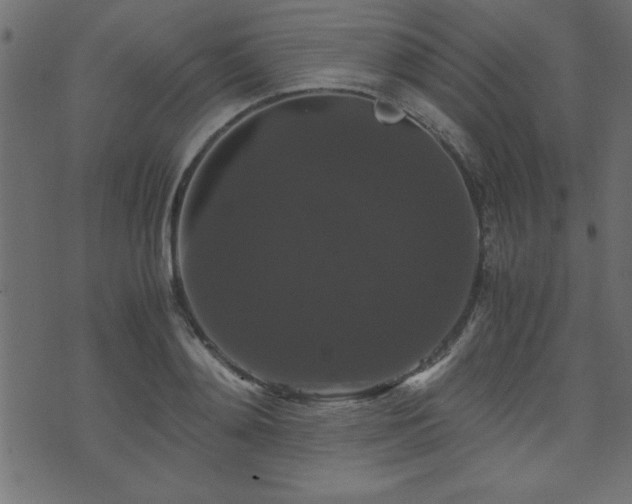 X0000071760892200606301127