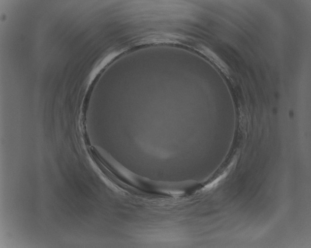 X0000071760893200606301127