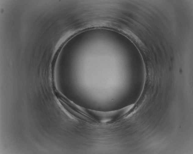 X0000071760894200606301127