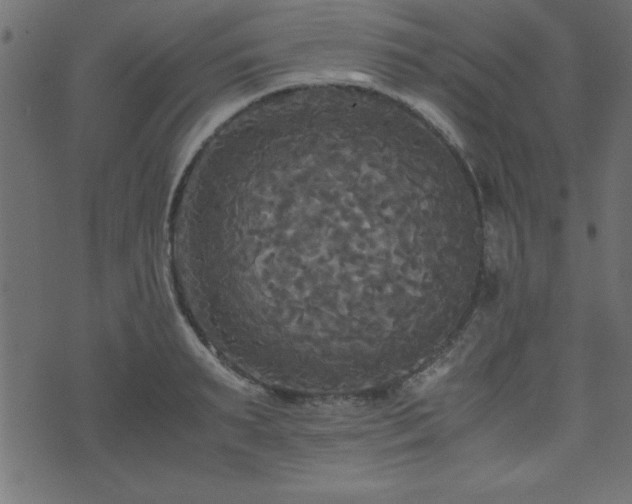 X0000071760895200606301127