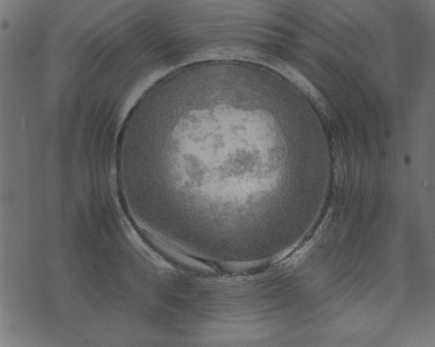 X0000071760896200606301127