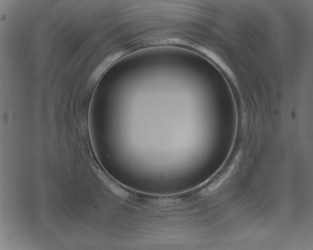 X0000071760897200606301127