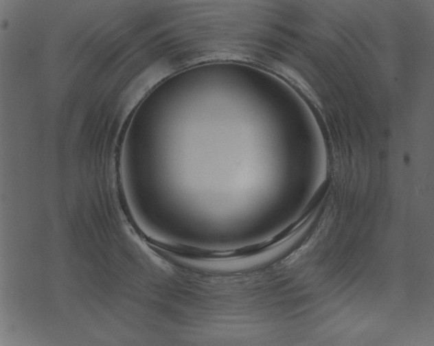 X0000071760898200606301127