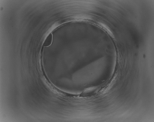 X0000071760899200606301127