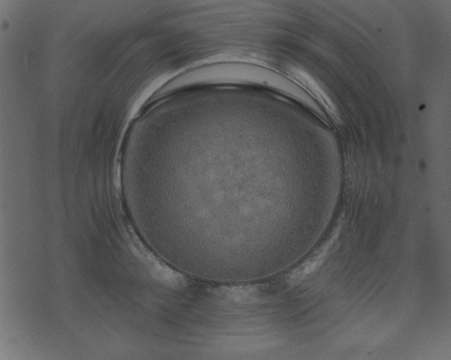 X0000071760900200606301127