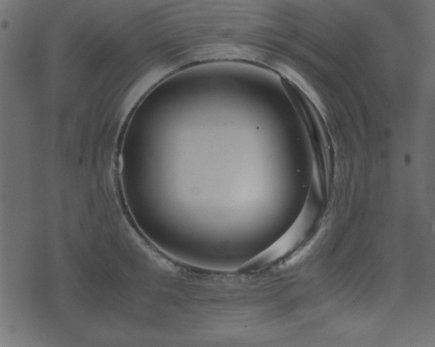 X0000071760901200606301127