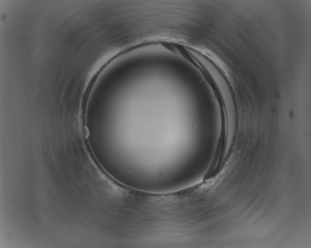 X0000071760902200606301127