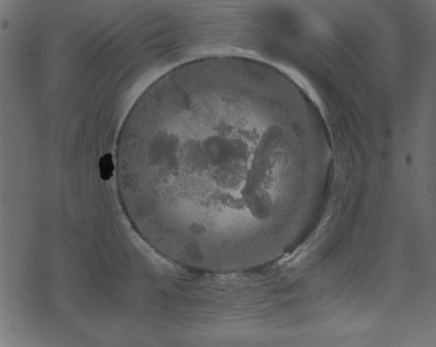 X0000071760903200606301127