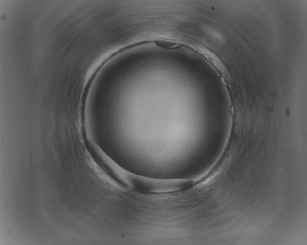 X0000071760904200606301127