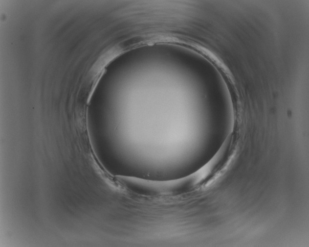 X0000071760905200606301127