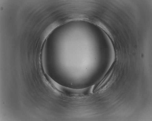 X0000071760906200606301127