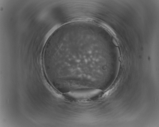 X0000071760907200606301127