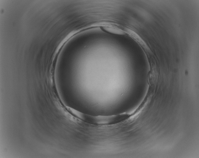 X0000071760908200606301127