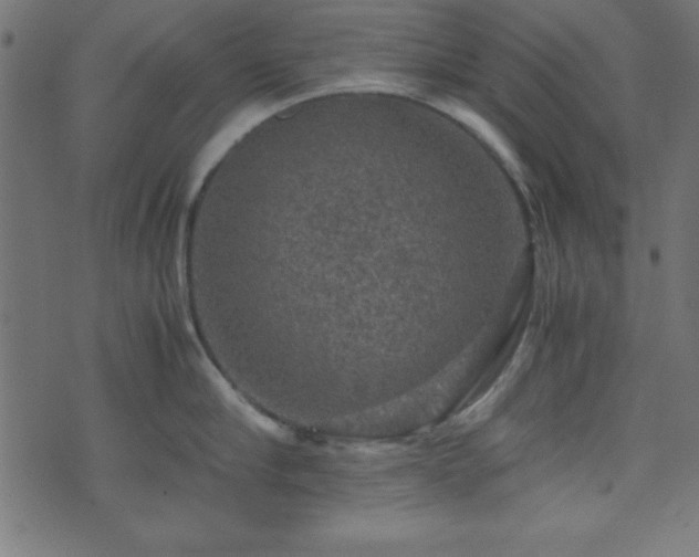 X0000071760910200606301127