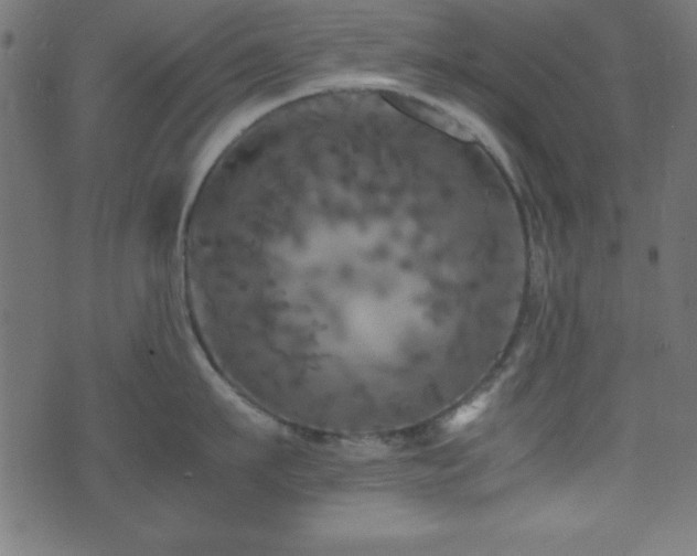 X0000071760911200606301127