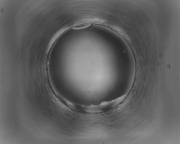 X0000071760912200606301127