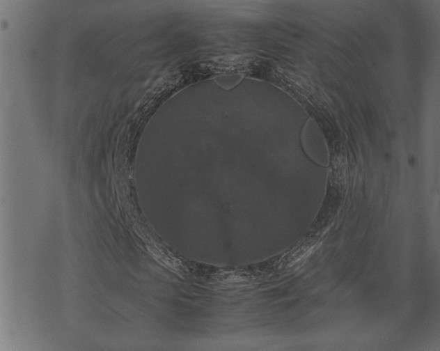 X0000071760913200606301126