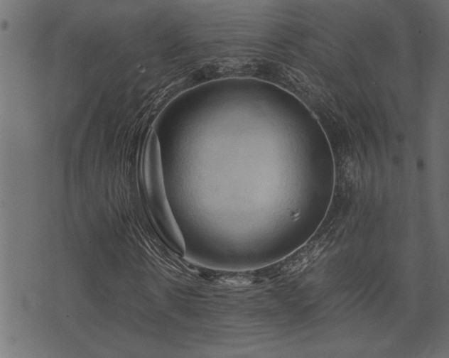 X0000071760914200606301126