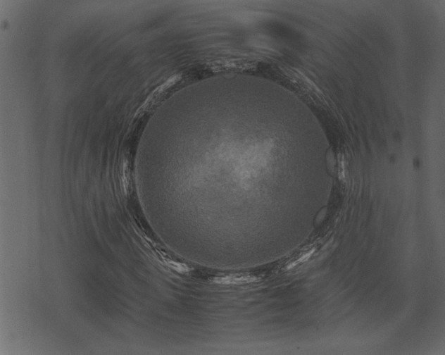 X0000071760915200606301126