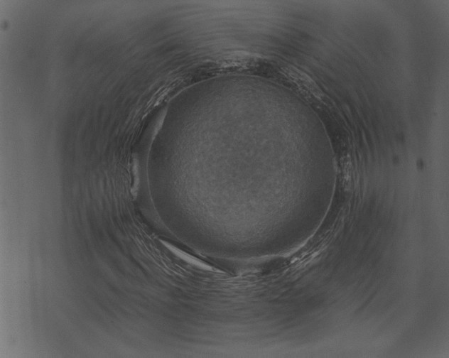 X0000071760916200606301126