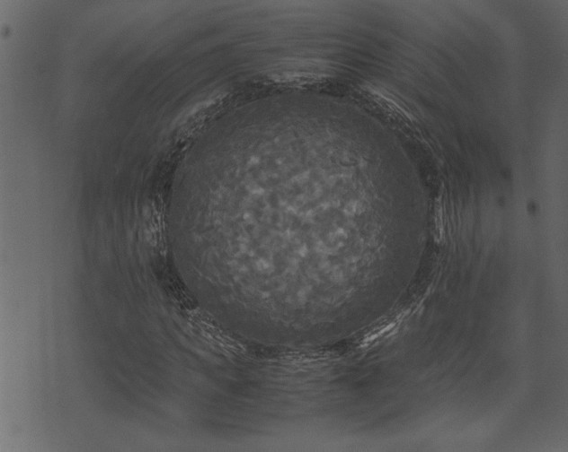 X0000071760917200606301126