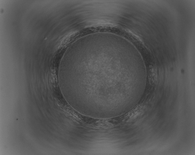 X0000071760918200606301126