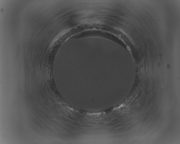 X0000071760919200606301126