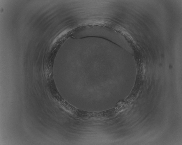 X0000071760920200606301126