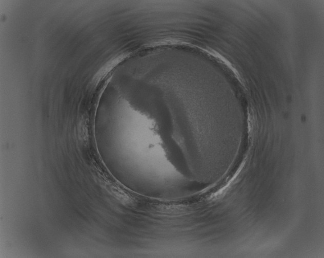 X0000071760921200606301126