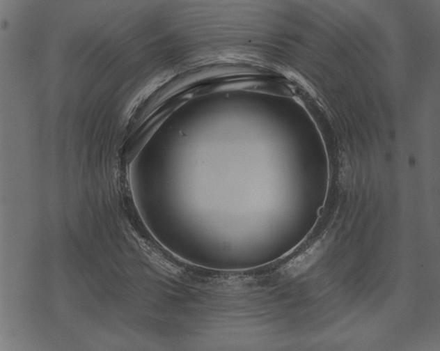 X0000071760922200606301126