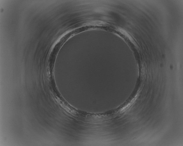 X0000071760923200606301126