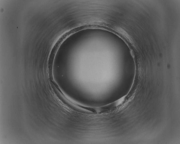 X0000071760924200606301126