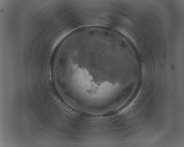 X0000071760925200606301126