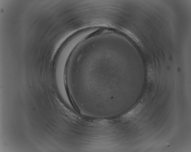 X0000071760926200606301126