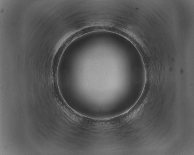 X0000071760927200606301126