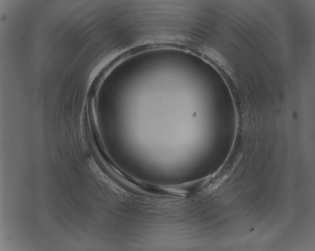 X0000071760928200606301126