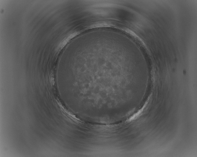 X0000071760929200606301127