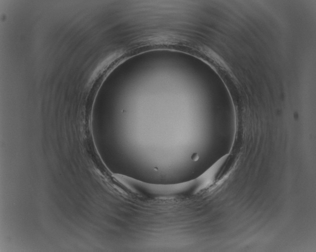 X0000071760930200606301127